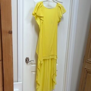BCBG 🍋 Runway Yuliana Neon Yellow High Low Hi Lo Yellow Lemonade Silk Maxi Dress
